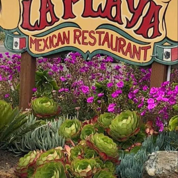 La Playa Mexican Restaurant