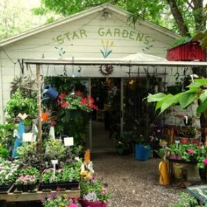 Star Gardens Nursery