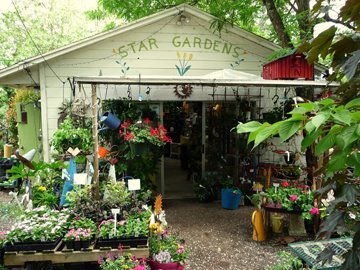 Star Gardens Nursery