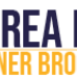 Area Rug Cleaner Brooklyn