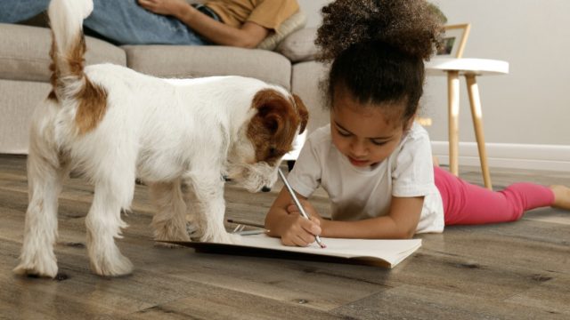 Azevedo Flooring Company