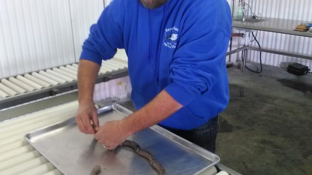 Del Mar Seafoods Inc