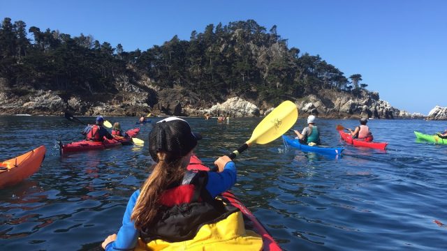 Kayak Connection