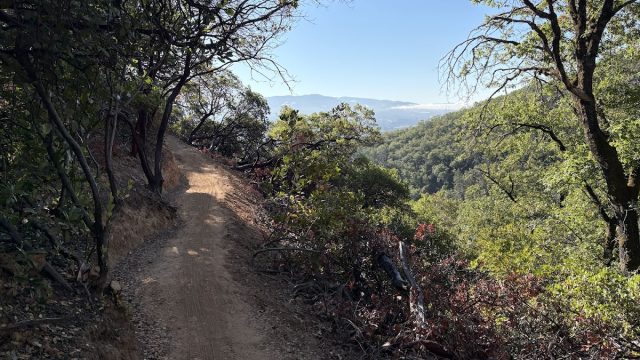 Lookout Peak Trails