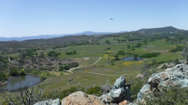 McLaughlin Natural Reserve