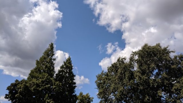 Middletown Square | Lake County Parks