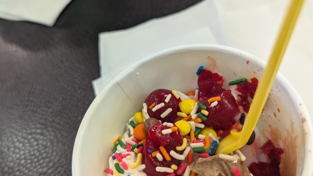 Polka Dot Yogurt Shoppe (Tutti Frutti Lakeport)