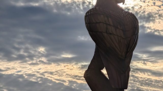 Sam Eagle